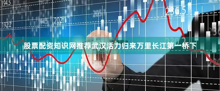 股票配资知识网推荐武汉活力归来　　万里长江第一桥下
