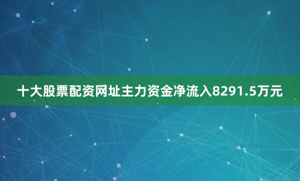 十大股票配资网址主力资金净流入8291.5万元