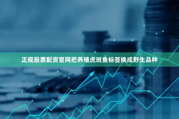 正规股票配资官网把养殖虎斑鱼标签换成野生品种