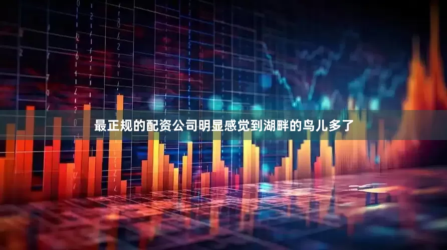 最正规的配资公司明显感觉到湖畔的鸟儿多了